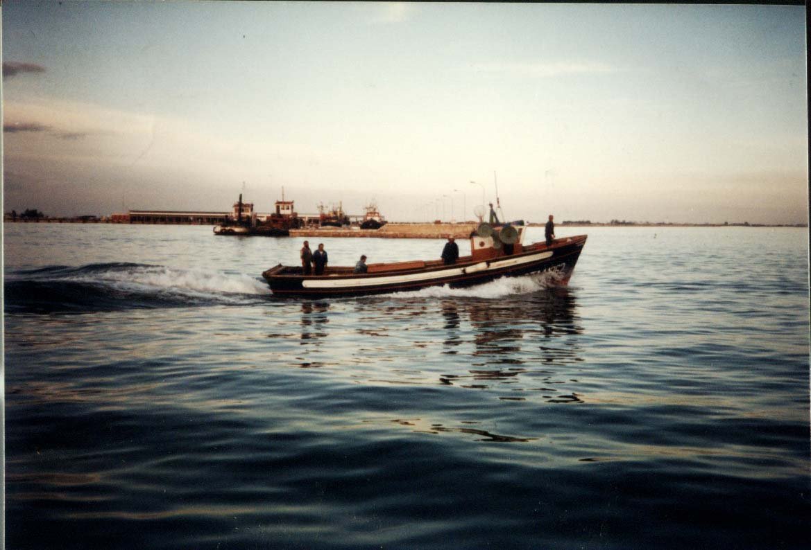 Imagen de Capitol 8 - 2002